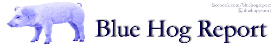 Matt Campbell's Blue Hog Report